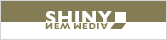 Shiny New Media - Chicago Web Development